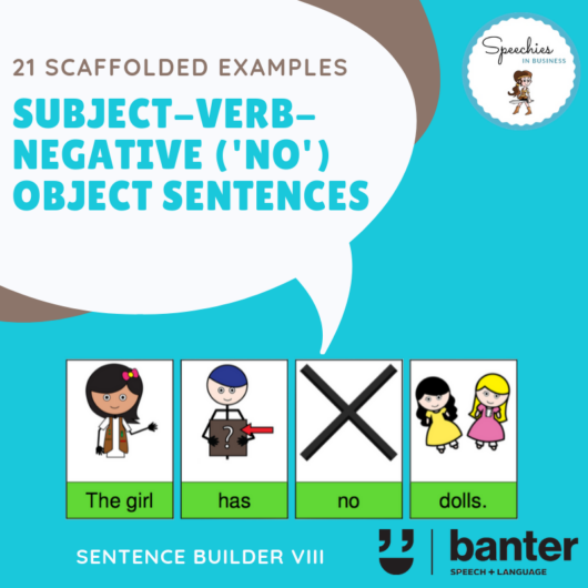 Subject Verb Negative (No) Object Sentences