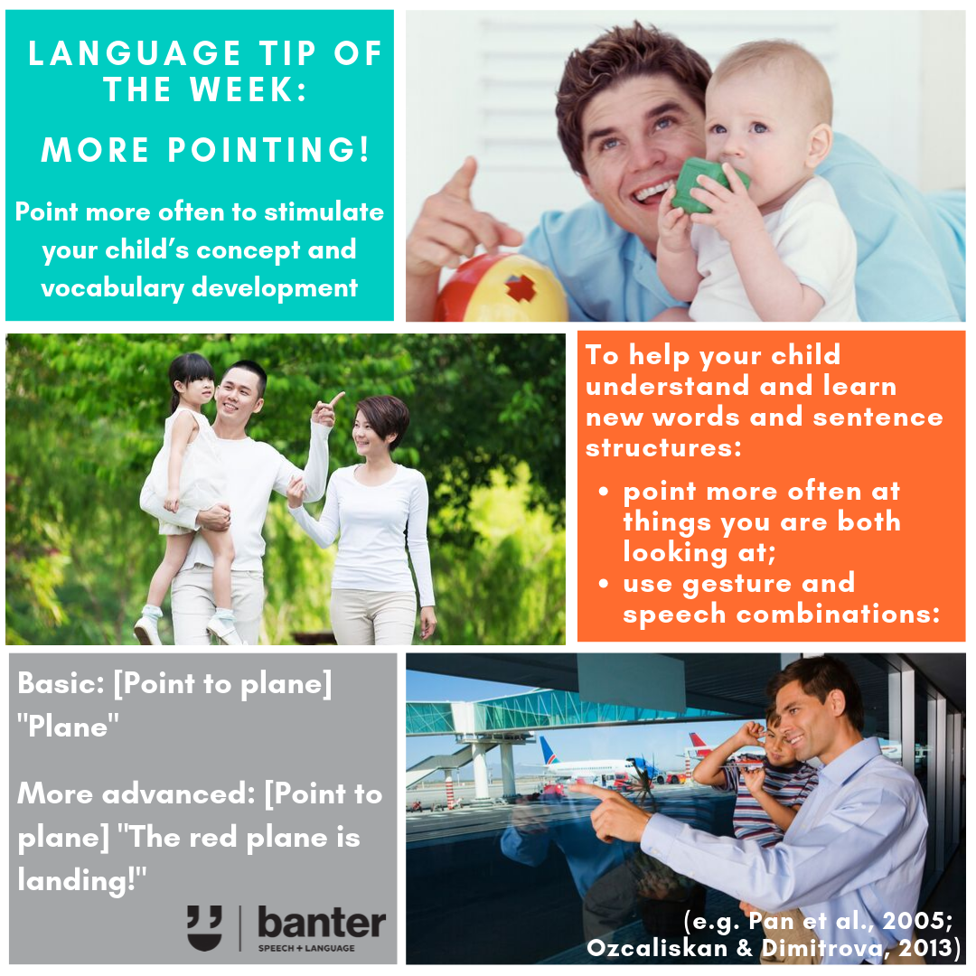 language stimulation tip of the week more pointing