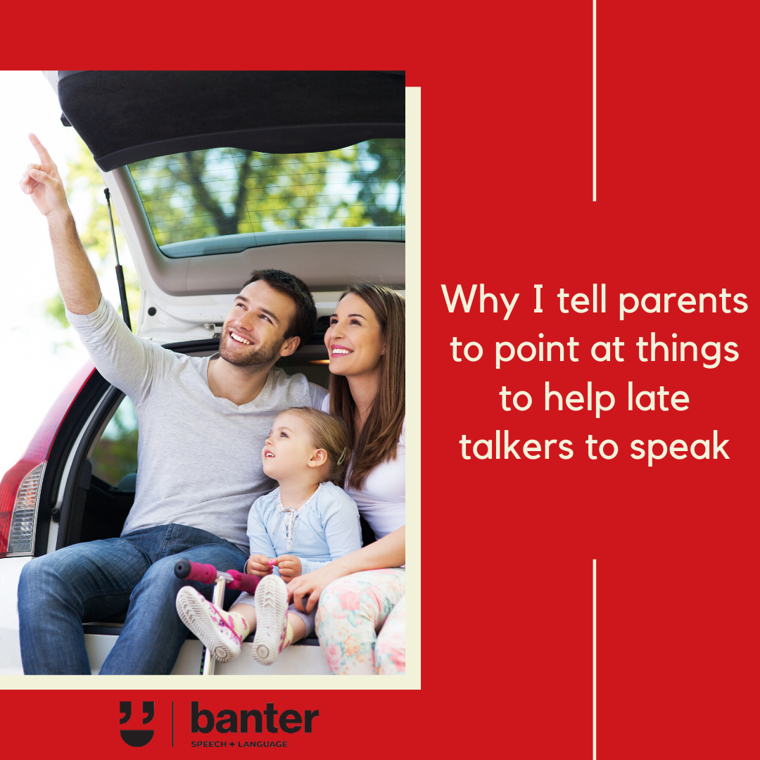 Why I tell parents to point at things to help their late talkers to speak