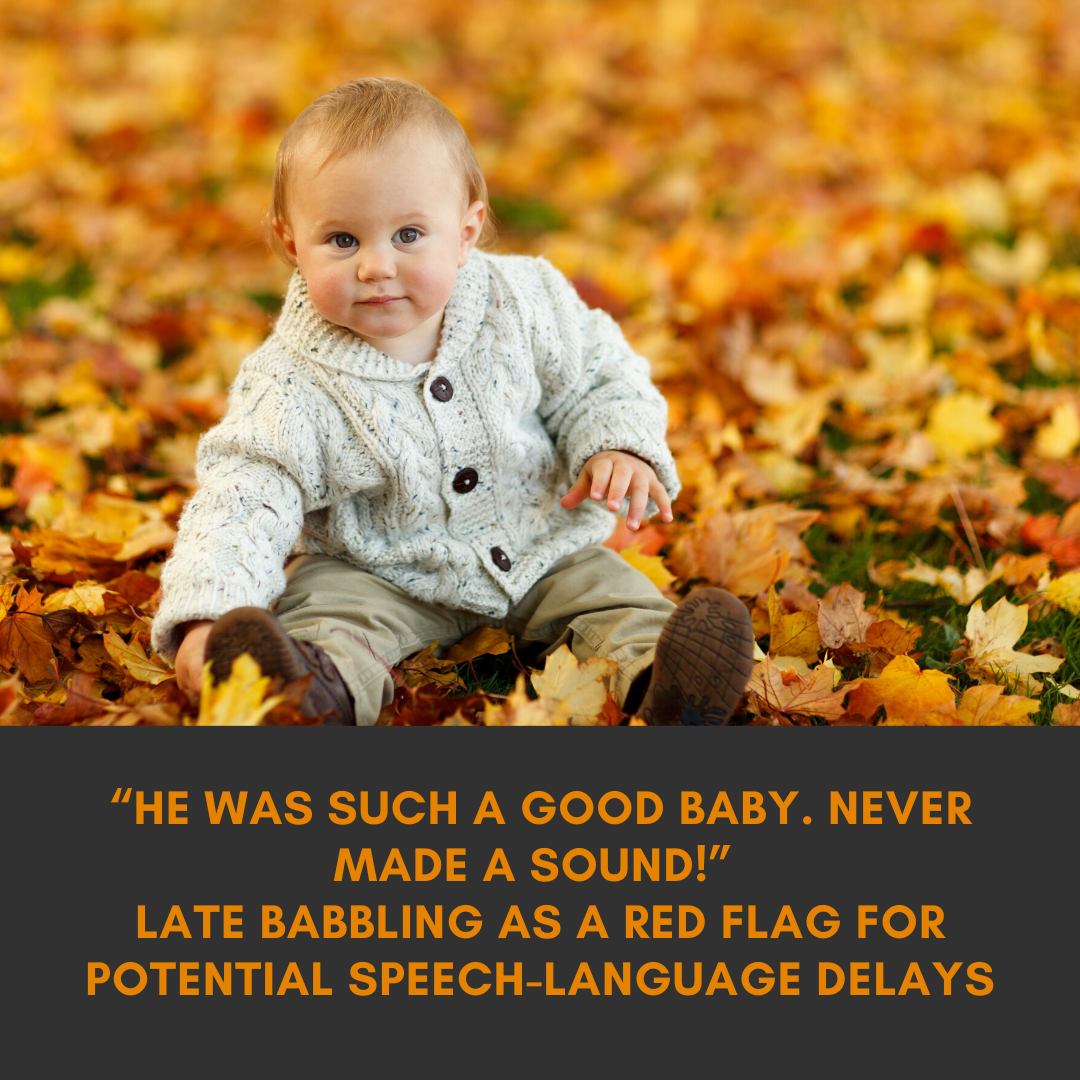 Late babbling as a red flat for potential speech language delays