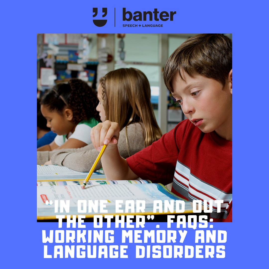 'In one ear and out the other': FAQs: Working Memory and Language Disorders