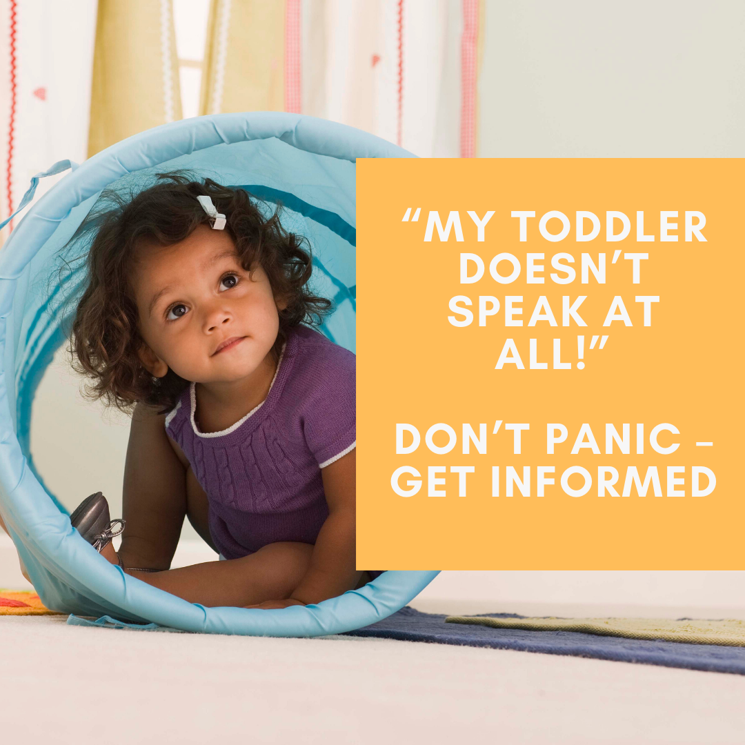 my toddler doesn't speak at all. Don't panic - get informed