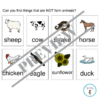 (L304) Blanks 3: Find the things that are not.. - Image 2