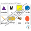 (L304) Blanks 3: Find the things that are not.. - Image 4