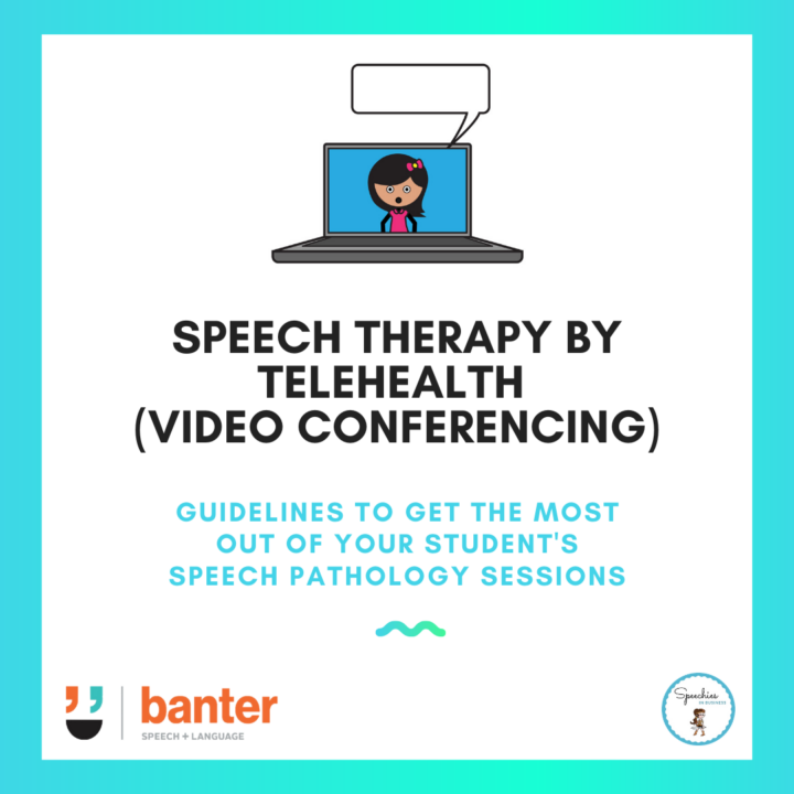 speech therapy by telehealth (video conferencing)