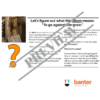 (L508) Listen then Speak 8: an oral language workout for students in Years 2-5 - Image 2