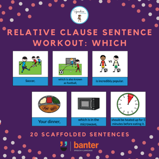 Relative Clauses Which