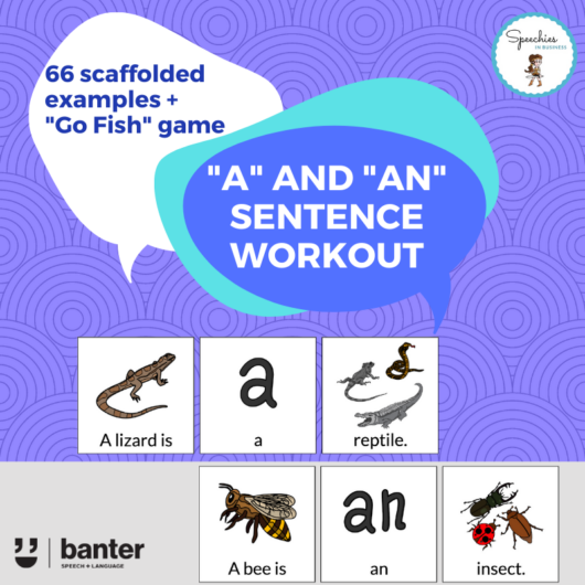 A AN Indefinite article SENTENCE BUILDERS