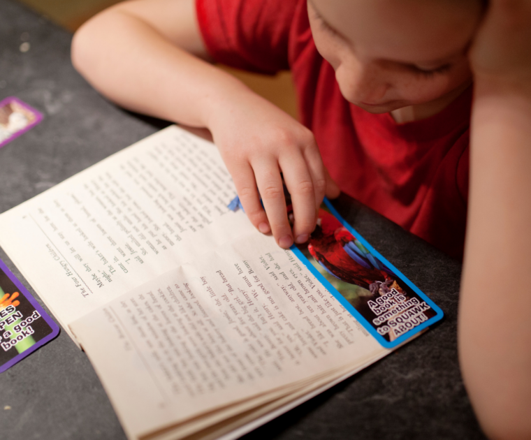 Priorities for Early Reading Instruction: Revising the Narrow View of Reading