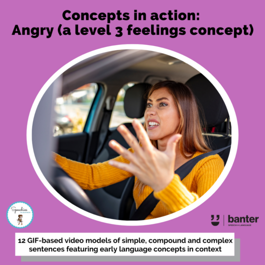 Concepts in action angry