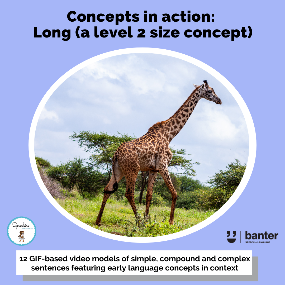 Concepts in Action: Long (a level 2 size concept)
