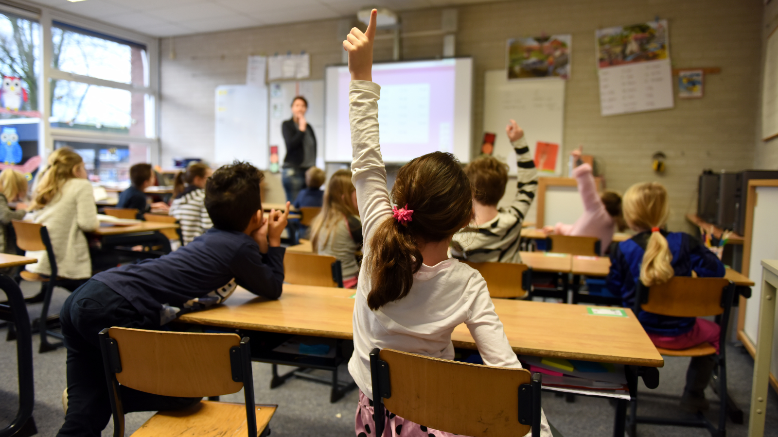 Children sitting at desks in a classroom with a teacher at the front of the class. The image is taken from the back of the classroom. A girl raises her hand in the back row.